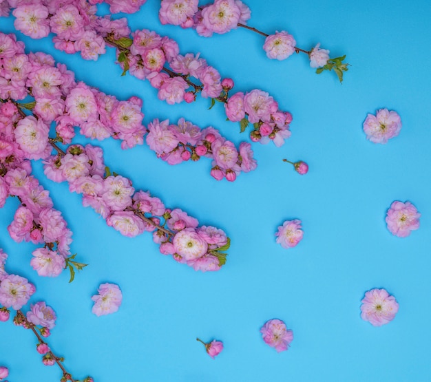 Takken met roze bloemen triloba van Louiseania