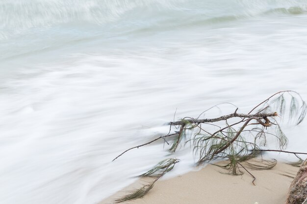 Foto takken op het strand