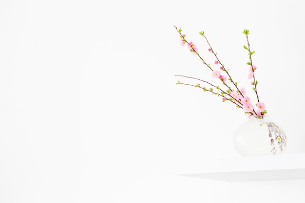 Takken van bloeiende amandelen in vaas op witte achtergrond
