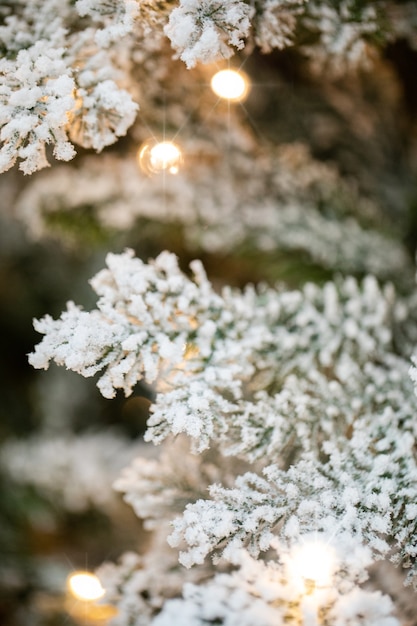 takken van een kerstboom met guirlandes