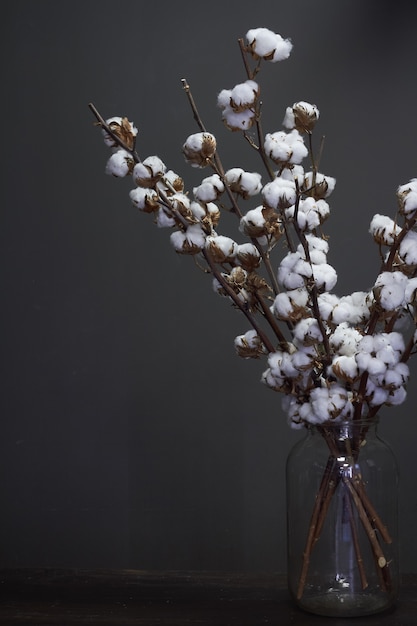 Takken van natuurlijk katoen in een glazen vaas op een donkere kerst