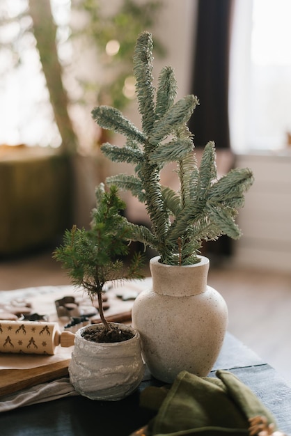 Takken van sparren of sparren in een witte vaas in de inrichting van de kamer in het interieur van het huis