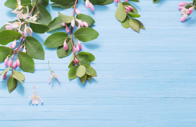 Takken van struik met roze bloemen op houten achtergrond