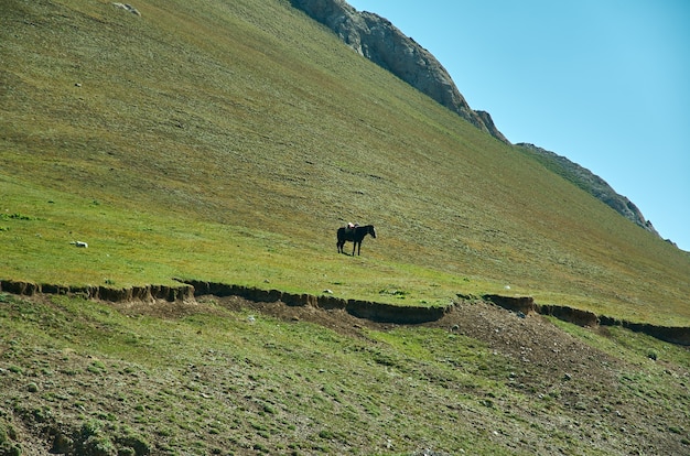 タルディク峠、3615 m、パミールハイウェイ、キルギスタン、山道の美しい景色