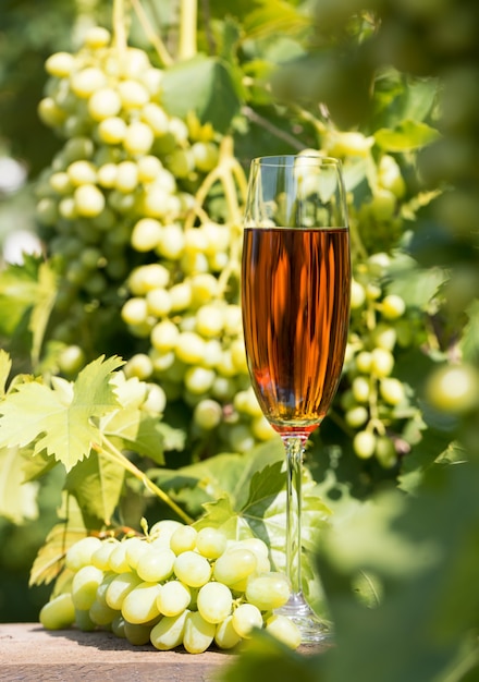 Alto bicchiere di vino e un grappolo d'uva