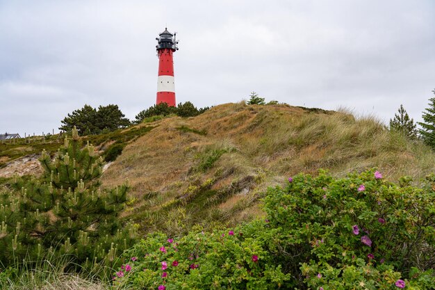 Tall lighthouse Hornum on Sylt island Baltic Sea Germany