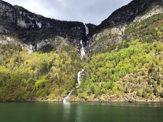 Tall Scandinavian waterfall Naeroyfjord, Norway. Stunning Norwegian nature. Norway fjords scenery