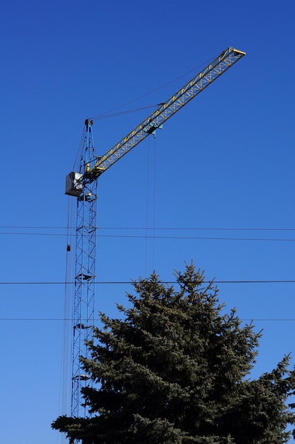 Tall tower crane on construction site on blue sky background Spruce tree in the foreground