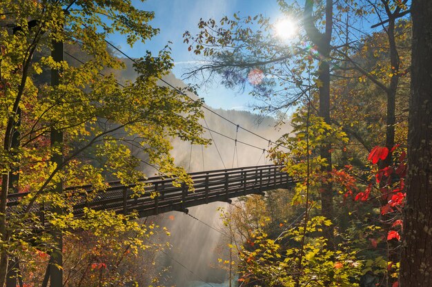 Foto tallulah falls georgia usa che si affaccia sulla gola di tallulah nella stagione autunnale