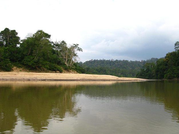 タマンネガラはマレーシアの国立公園です