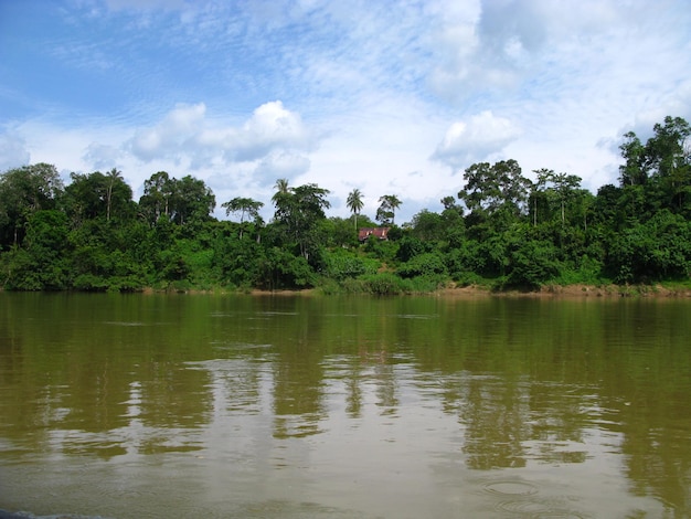 Taman Negara is the national park Malaysia