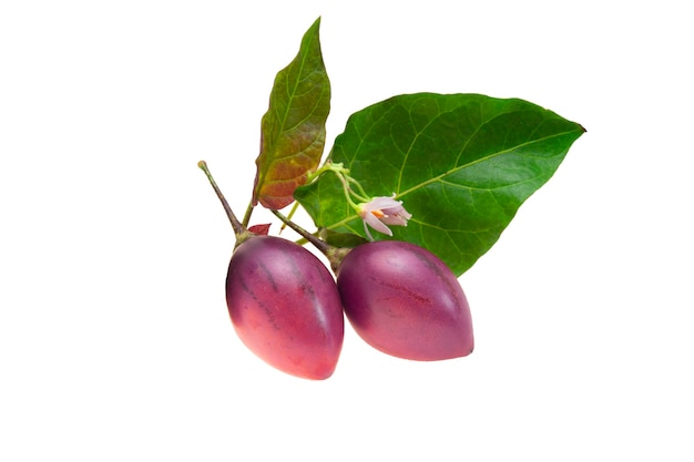 Foto frutto di tamarillo isolato su sfondo bianco