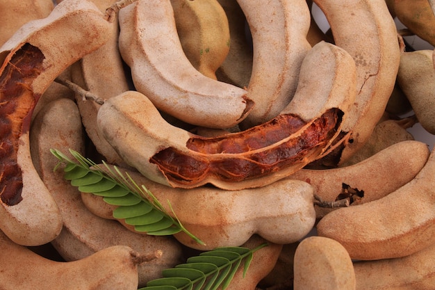 Tamarind bean like pods filled with seeds surrounded by a fibrous pulp