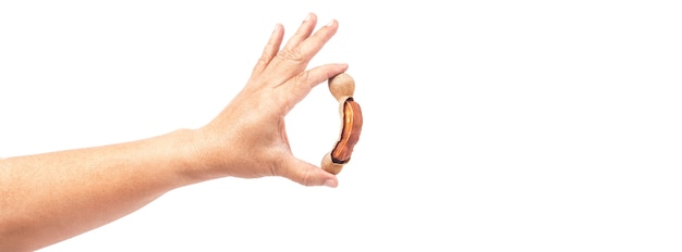 tamarind - Sweet ripe tamarind in hand with isolated on a white background. 