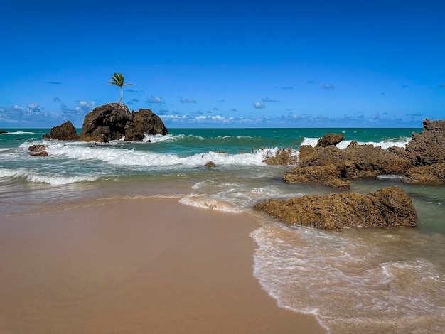 Foto tambaba beach naturistenstrand in conde bij joao pessoa paraiba brazilië