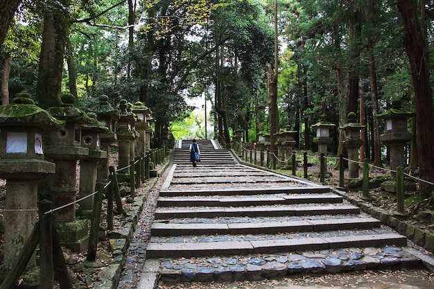 Photo tamukeyama hachimangu shrine nara japan