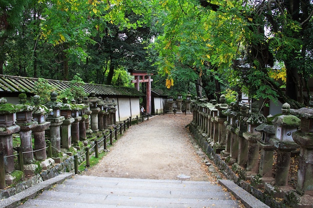 Photo tamukeyama hachimangu shrine, nara, japan
