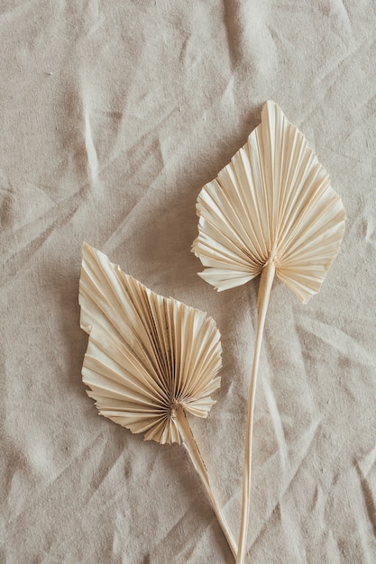 Tan fan craft leaves on beige washed linen cloth