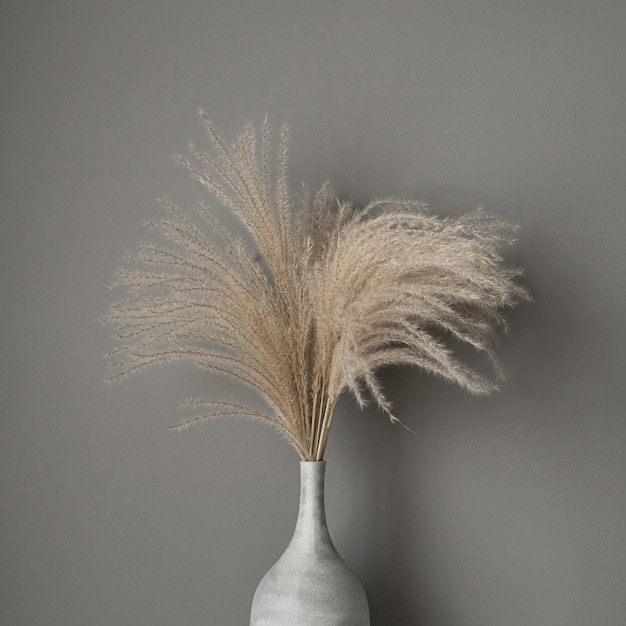 Tan reeds, pampas grass bouquet in clay pot on grey