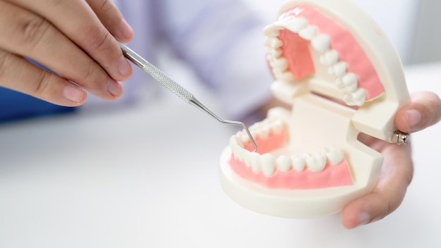 Tandarts bij tandheelkundige kliniek Witte gezonde tand met tandmodel bij kaakchirurgen bespreken kaakröntgenfoto op tablet geneeskunde gezondheidszorg mondchirurgie concept