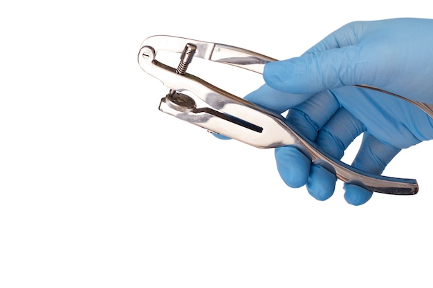 Tandarts hand in latex handschoen met tandheelkundige punch op witte isilated achtergrond. Medisch hulpmiddelenconcept.