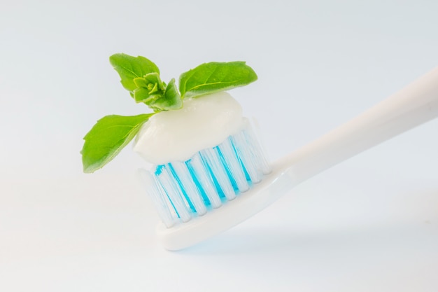 Tandenborstel met pasta en muntblaadjes op een lichte achtergrond. Het concept van tandheelkundige zorg, verfrissende tandpasta, tandheelkunde.