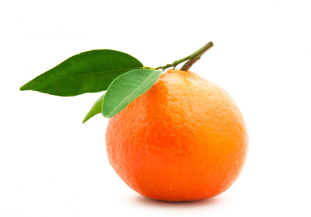 tangerine fruit