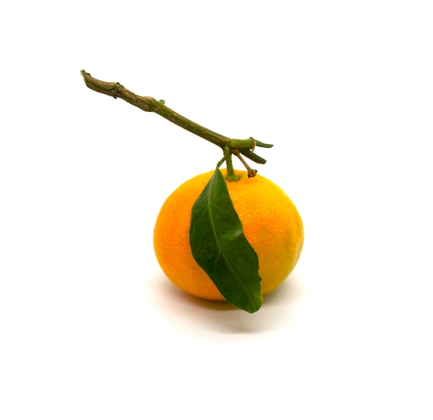 Tangerine with leaves closeup