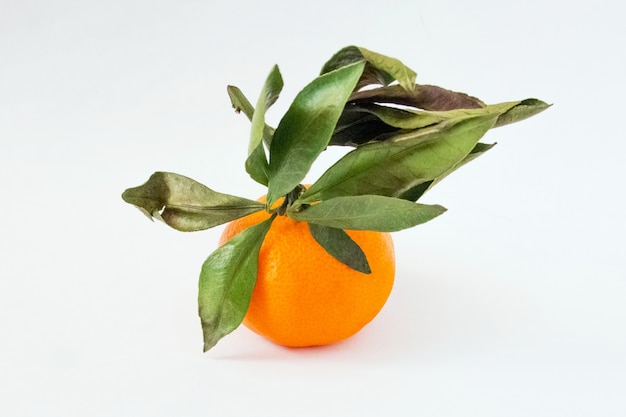 Tangerine with leaves