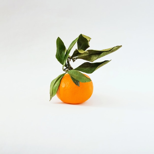 Photo tangerine with leaves