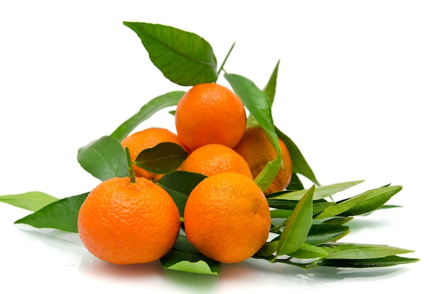 Tangerines on a branch with leaves