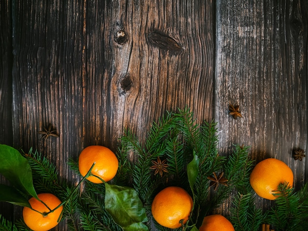 Tangerines, fir branches and anise stars on a festive Christmas background