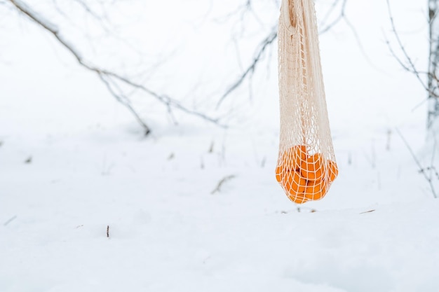 ひもの袋に入ったみかんは、雪を背景に枝にぶら下がっています 冬の森で冬のピクニック