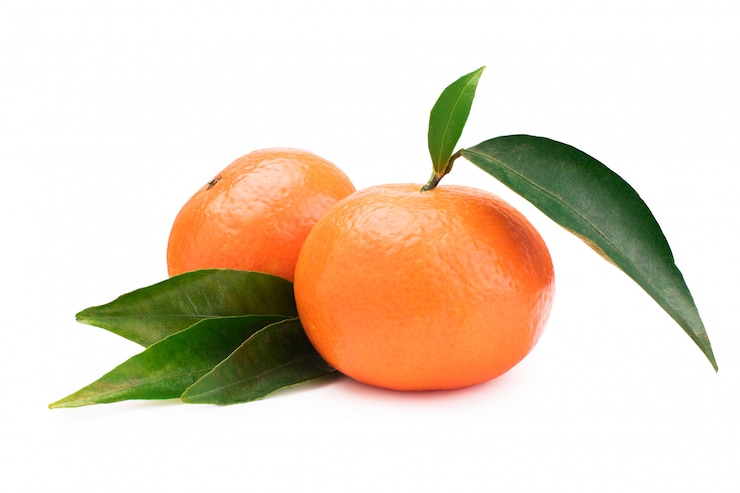 Photo tangerines with green leaves in a white background. mandarin