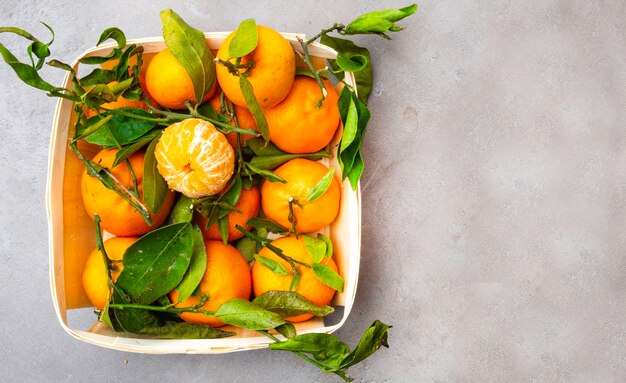 Tangerines with leaves in basket isolated on grey