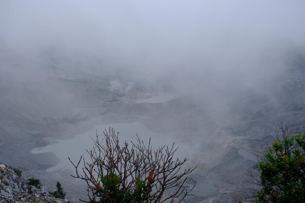 Foto cratere di montagna tangkuban parahu a lembang west java il cratere emette solfatara tangkuban perahu