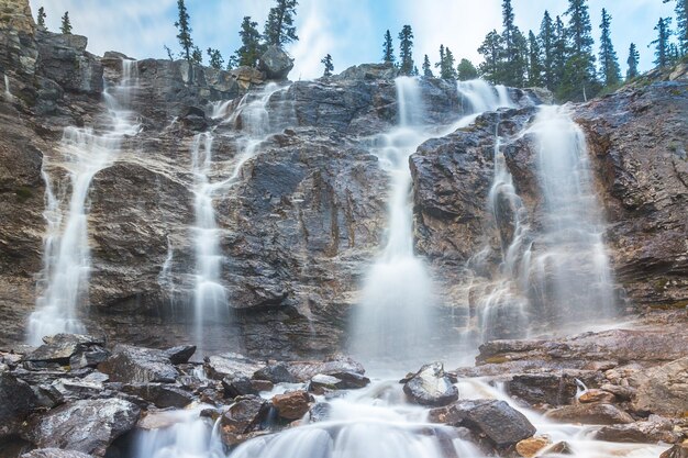 Tangle Falls in de buurt van Jasper Canada