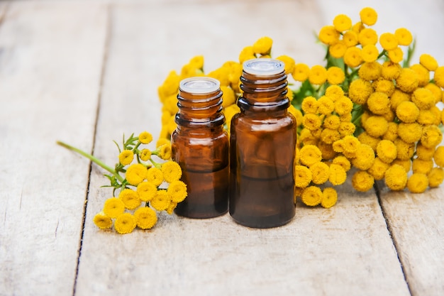 Tansy medicinal extract, tincture, decoction, oil, in a small bottle.