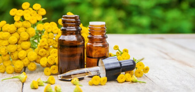 Tansy medicinal extract, tincture, decoction, oil, in a small bottle.