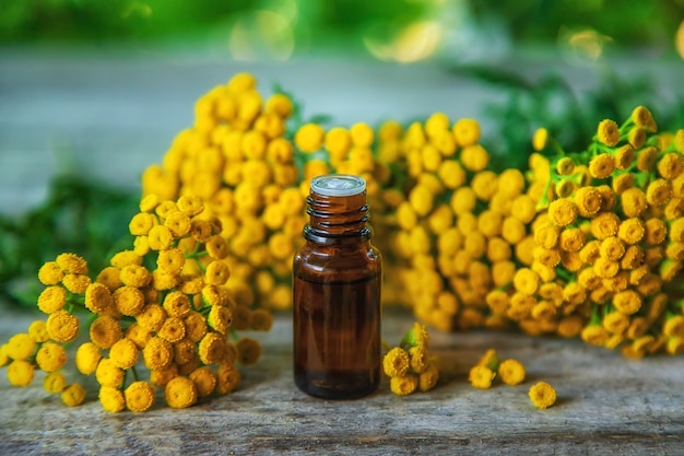 Tansy tincture in a bottle. Selective focus.