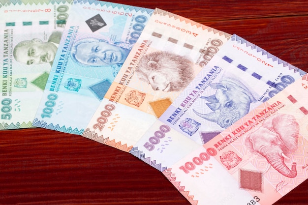 Tanzanian shilling a business background