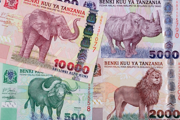 Tanzanian shilling a business surface