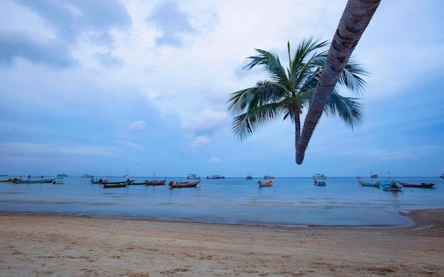 Tao island in the morning light