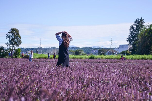 Foto taoyuan taiwan 15 dicembre 2018 molte persone sono nel mare dei fiori di mesona