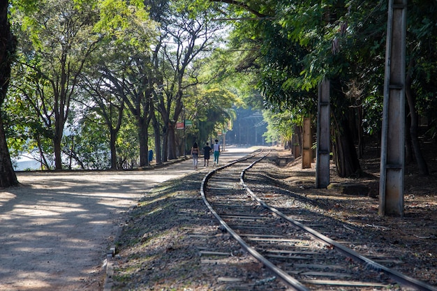 Taquaral Park in Campinas, So Paulo. Train track that runs through the city park