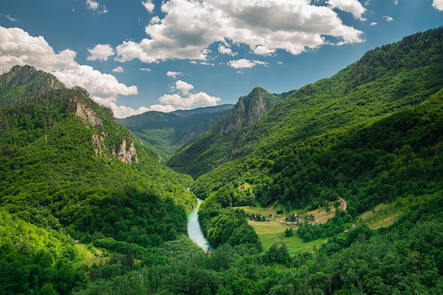 タラ渓谷緑豊かな山々の美しい景色静かな風景と素晴らしいインテリア写真