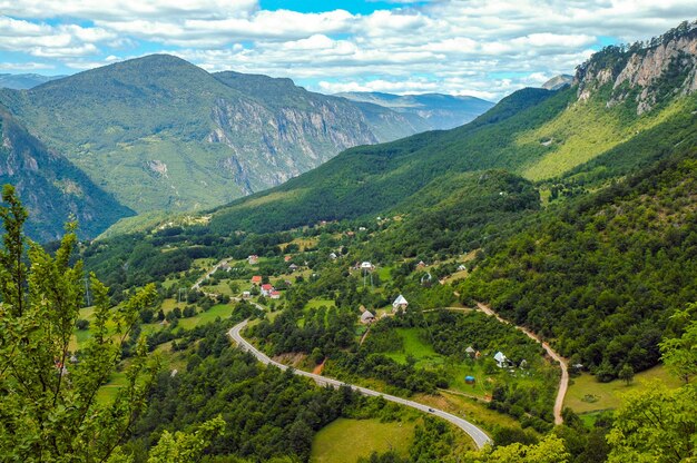 Photo tara canyon montenegro