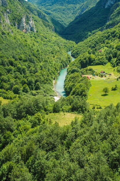 Photo tara canyon montenegro