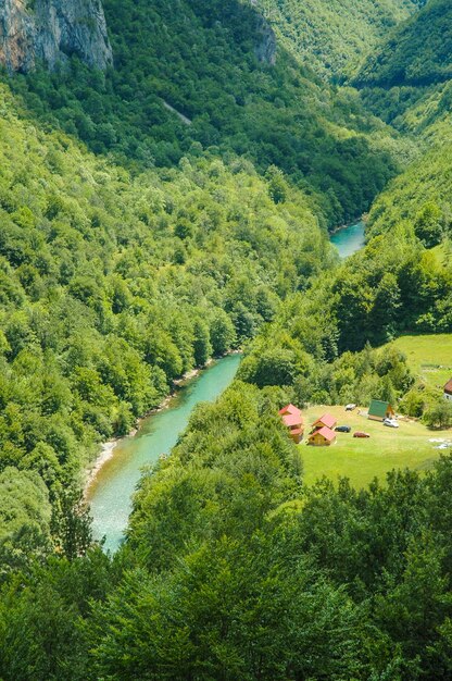 Photo tara canyon montenegro