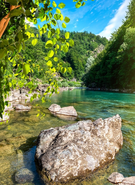 Река Тара Черногория